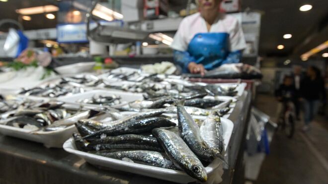 Las pescaderías, olvidadas en la rebaja del IVA: "Recaudan a cambio de empobrecer la dieta de los ciudadanos"